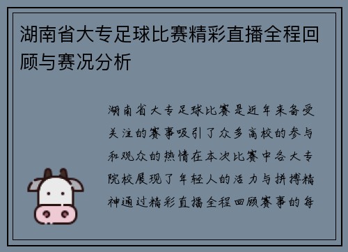 湖南省大专足球比赛精彩直播全程回顾与赛况分析